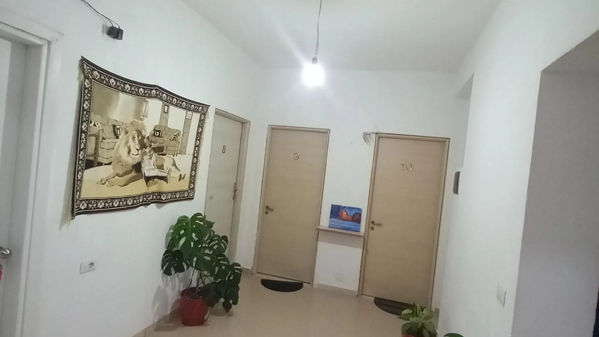 Apartment Beta Rest Room Vlore